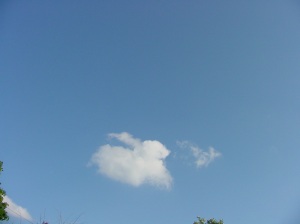 Rabbit Cloud